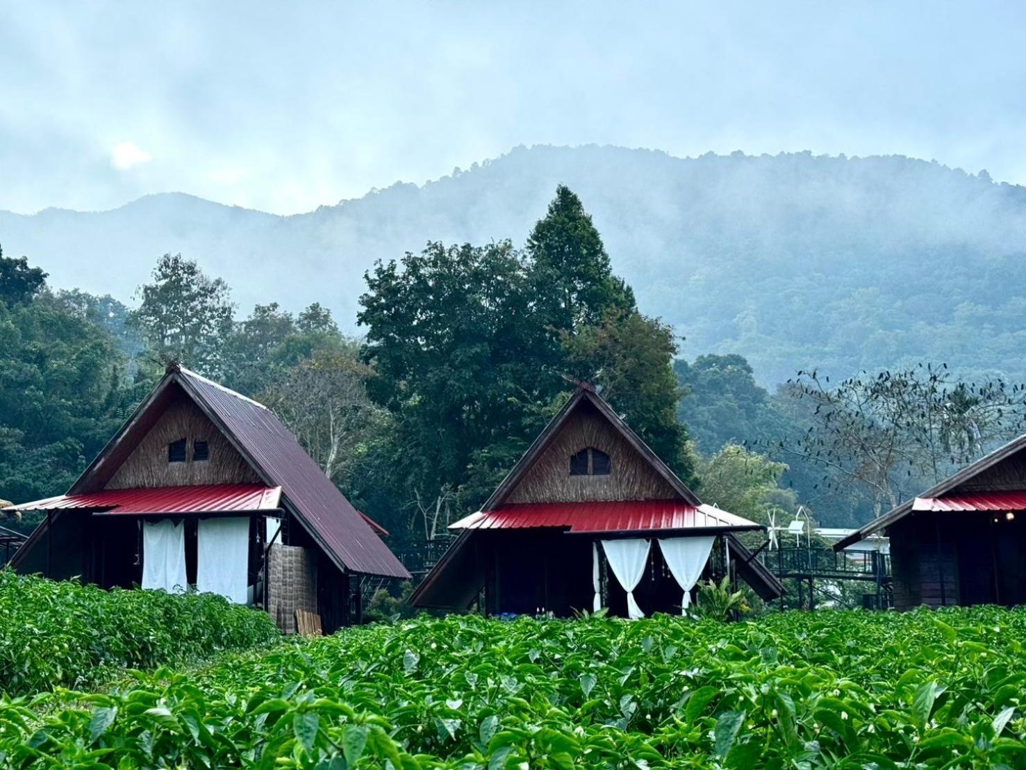 น่านศิลารมย์ Hotel Ban Bun Yun  Bagian luar foto