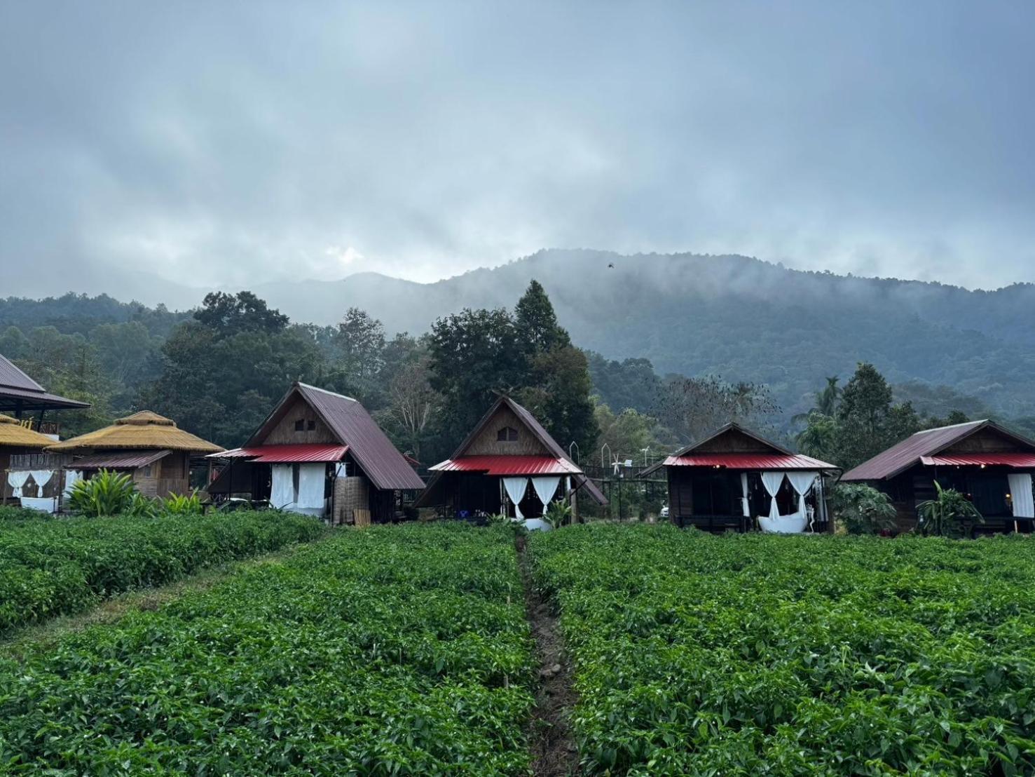 น่านศิลารมย์ Hotel Ban Bun Yun  Bagian luar foto